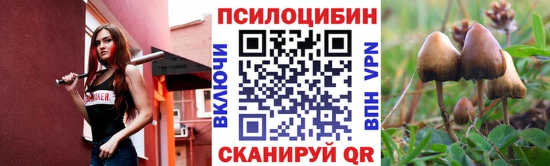 Галлюциногенные грибы мухоморы  Купить закладки  Нижний Новгород 